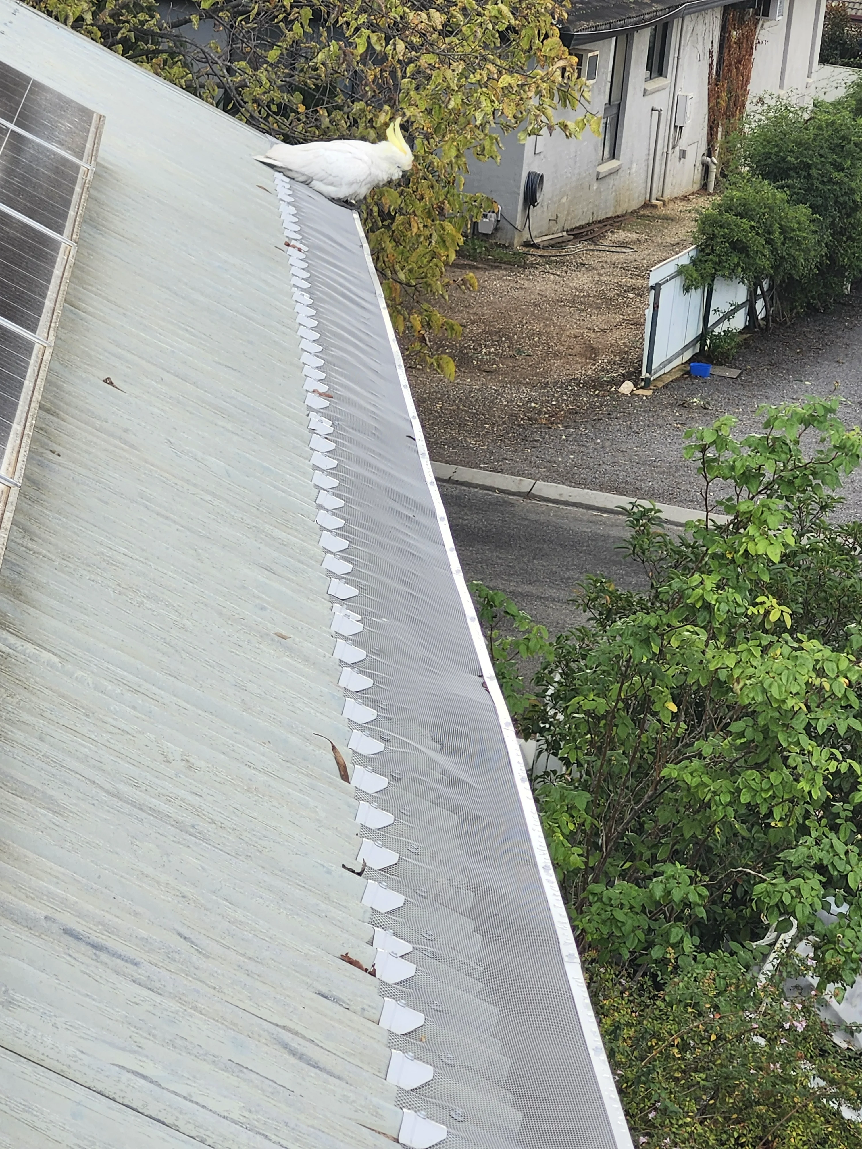 Gutter guard install