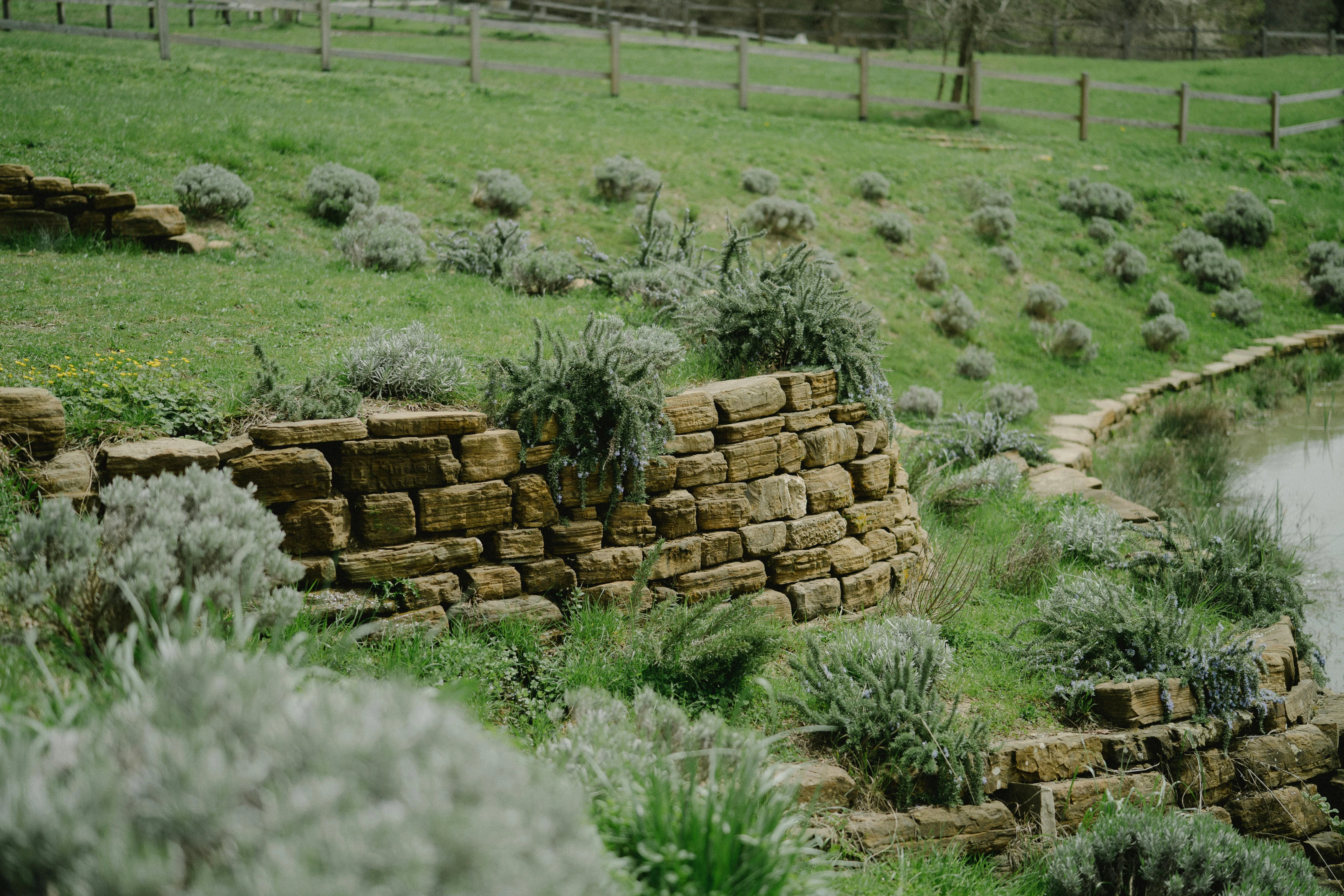 Landscaping